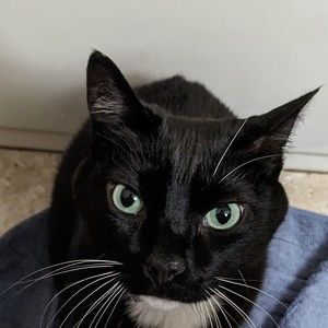 Meet your Posher, Dude